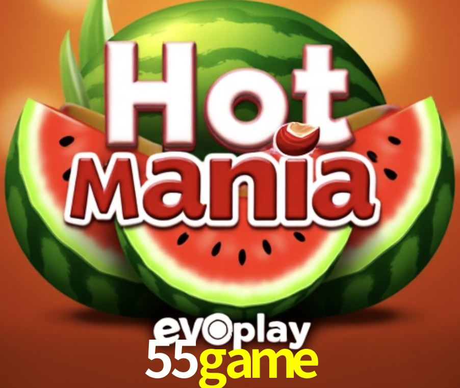 Game Providers 55game